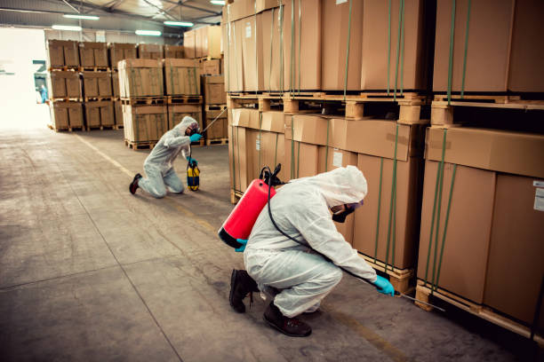 Best Affordable Pest Control Services  in Fourche Crossing, LA