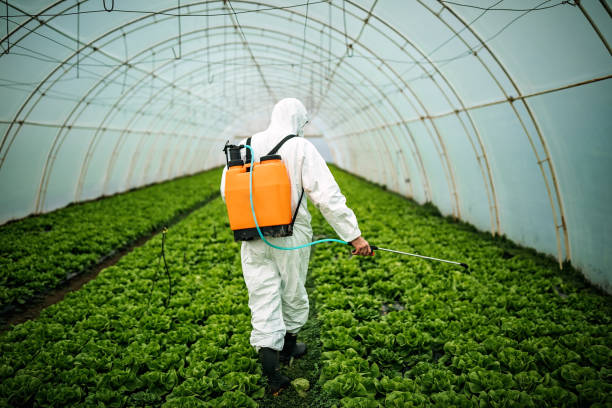 Best Commercial Pest Control Services  in Fourche Crossing, LA