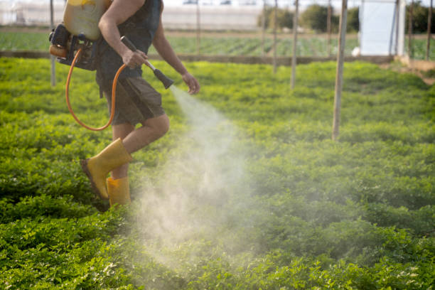 Pest Control Cost in Lafourche Crossing, LA