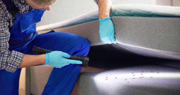 Wasp Removal Services in Lafourche Crossing, LA