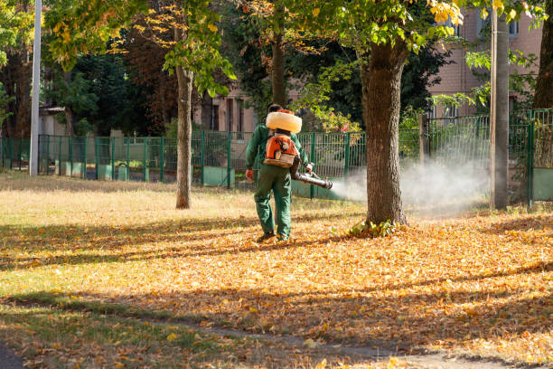 Best Best Pest Control Companies  in Fourche Crossing, LA