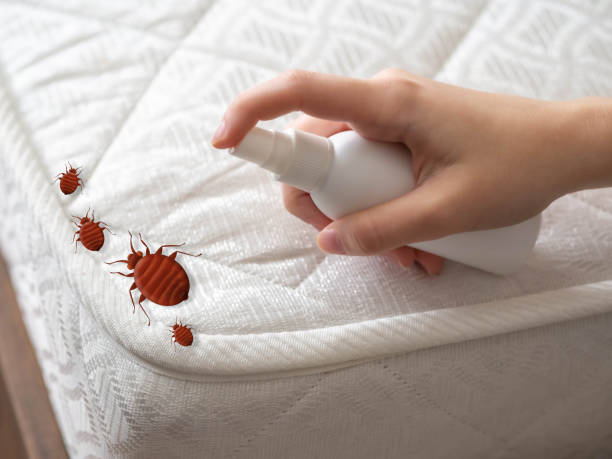 Best Pest Control Near Me  in Fourche Crossing, LA