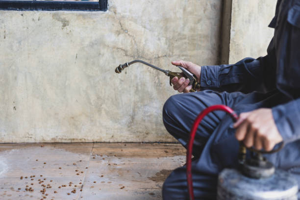 Best Pest Control Near Me in Lafourche Crossing, LA